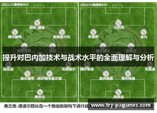 提升对巴内加技术与战术水平的全面理解与分析 提升对巴内加技术与战术水平的全面理解与分析