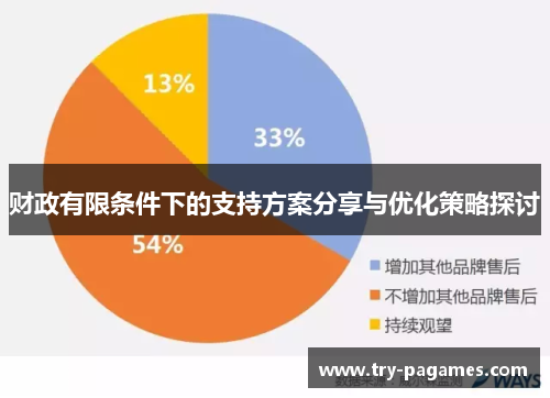 财政有限条件下的支持方案分享与优化策略探讨 财政有限条件下的支持方案分享与优化策略探讨