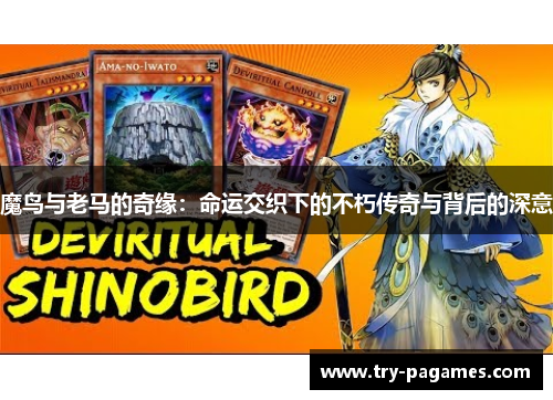 魔鸟与老马的奇缘:命运交织下的不朽传奇与背后的深意