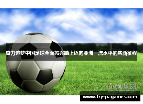 奋力追梦中国足球全面振兴踏上迈向亚洲一流水平的崭新征程 奋力追梦中国足球全面振兴踏上迈向亚洲一流水平的崭新征程