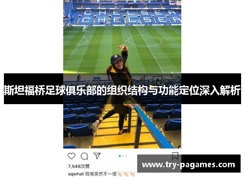 斯坦福桥足球俱乐部的组织结构与功能定位深入解析