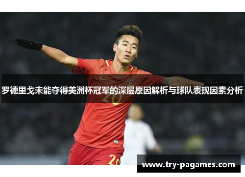 罗德里戈未能夺得美洲杯冠军的深层原因解析与球队表现因素分析